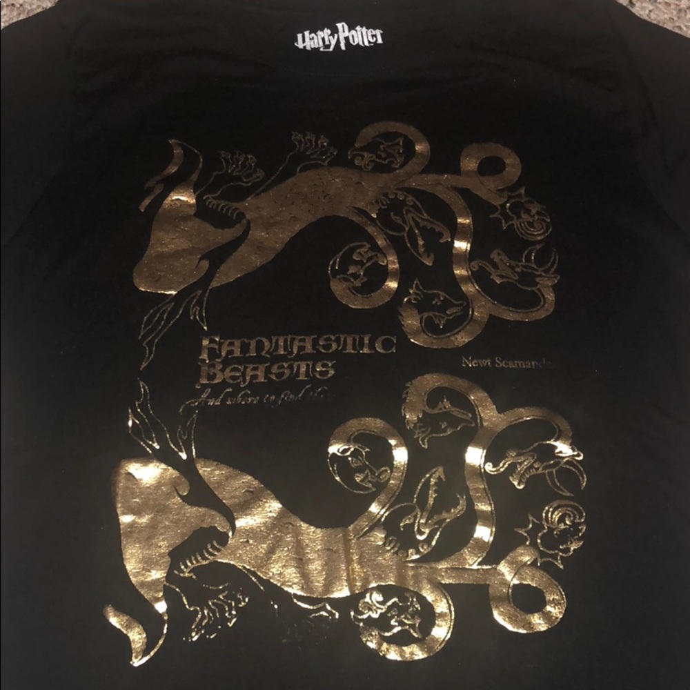 Fantastic Beasts. - Picture 4 of 5
